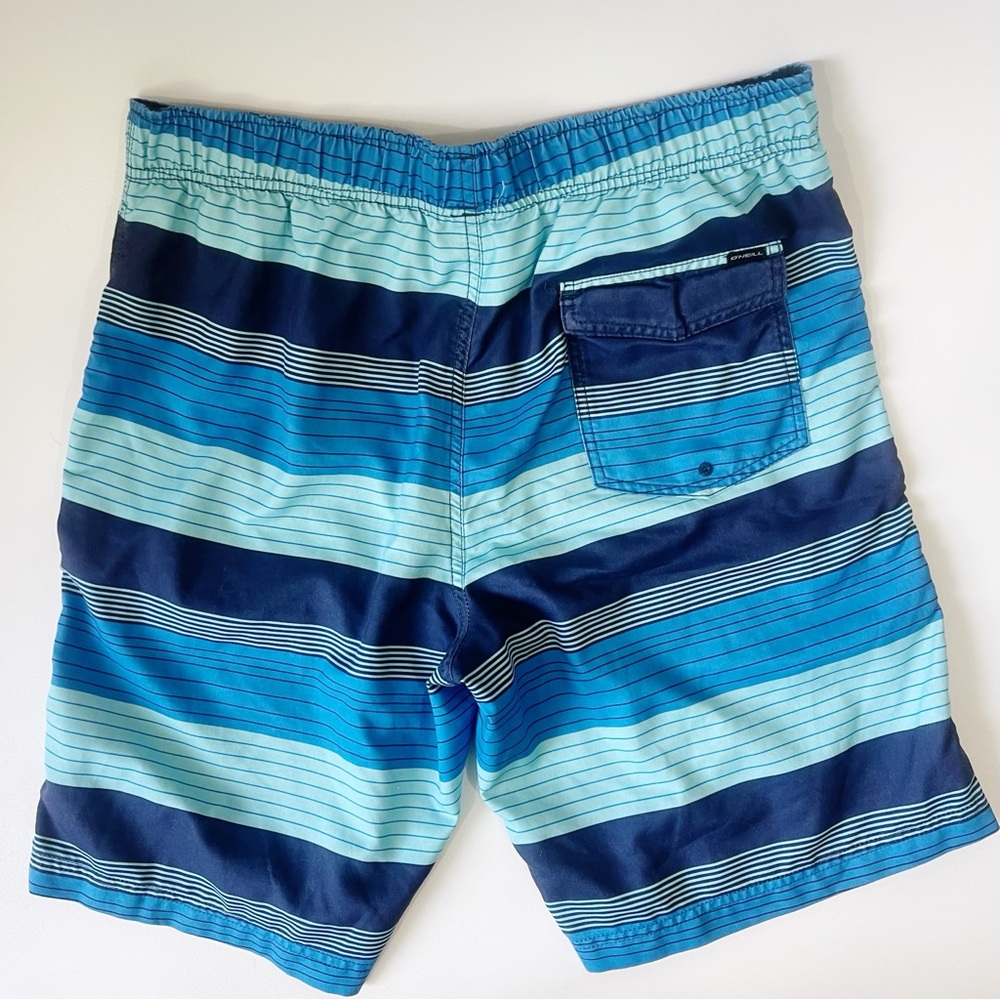 O’Neill Bathing Suit Swim Trunks Blue Striped Size Large - Picture 2 of 7